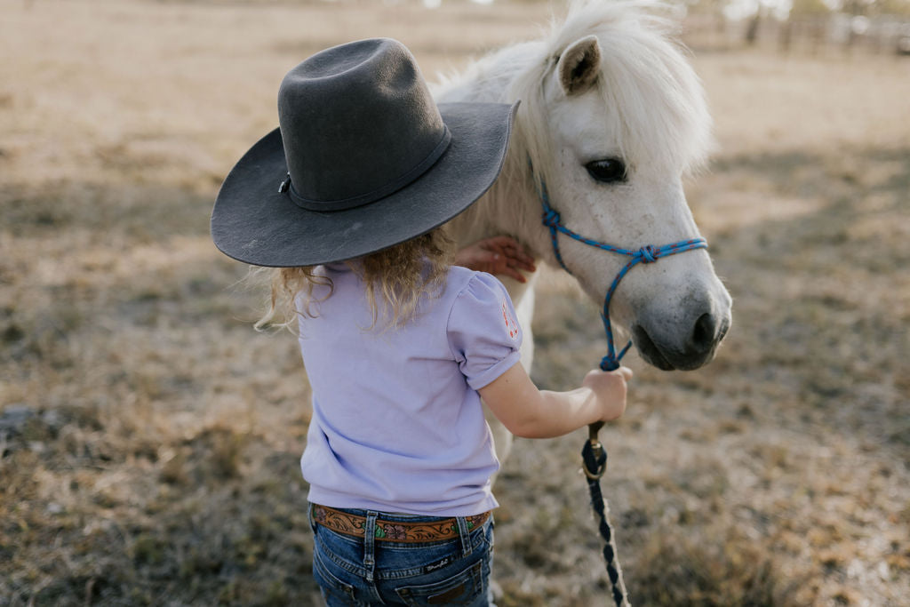 Little Windmill Clothing co. Girls "Lizzy " Violet Ruffle Polo