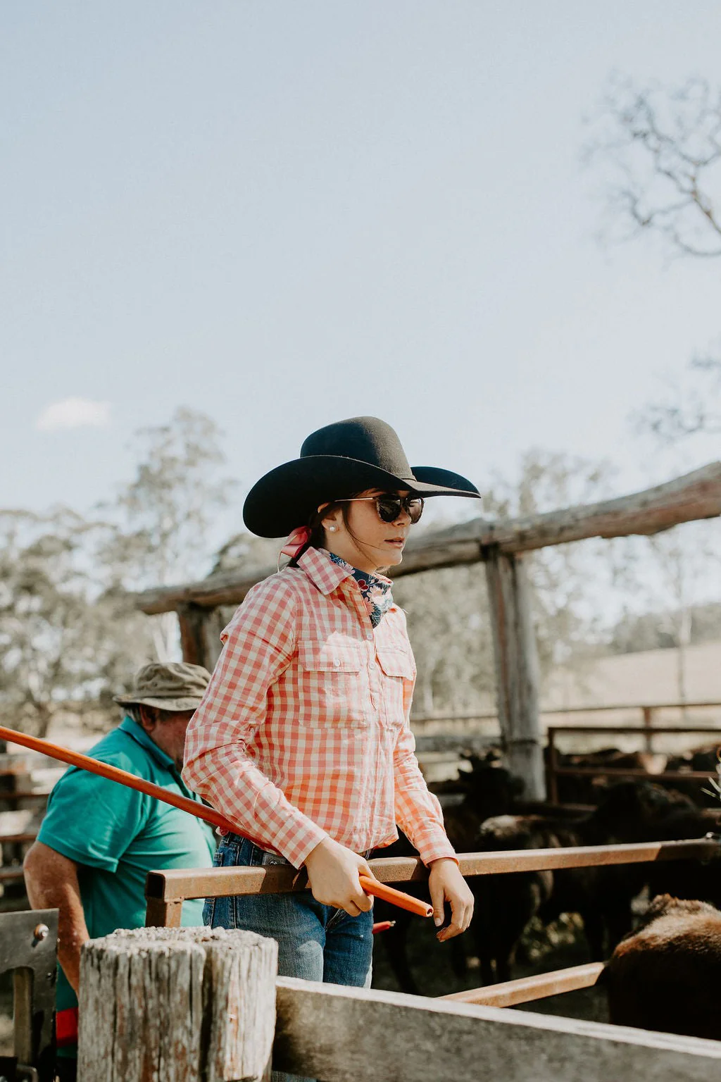 Black Colt Clothing Pink Gingham Work Shirt