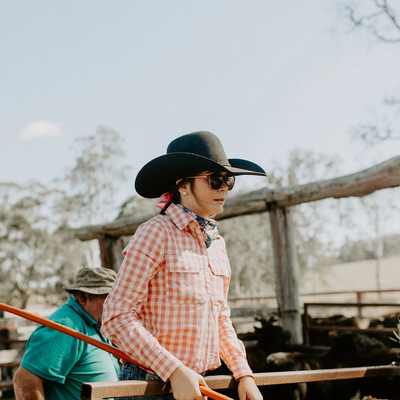 Black Colt Clothing Pink Gingham Work Shirt