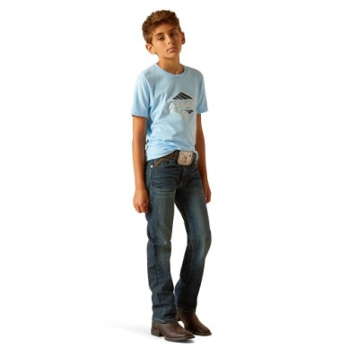 Ariat Boys Retro Hex Stripe T-shirt Turquoise heather