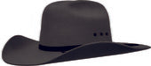 PURE WESTERN TORNADO HAT