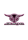 BULLZYE STICKER SIZE A